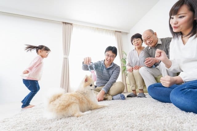 仲良しな家族と犬