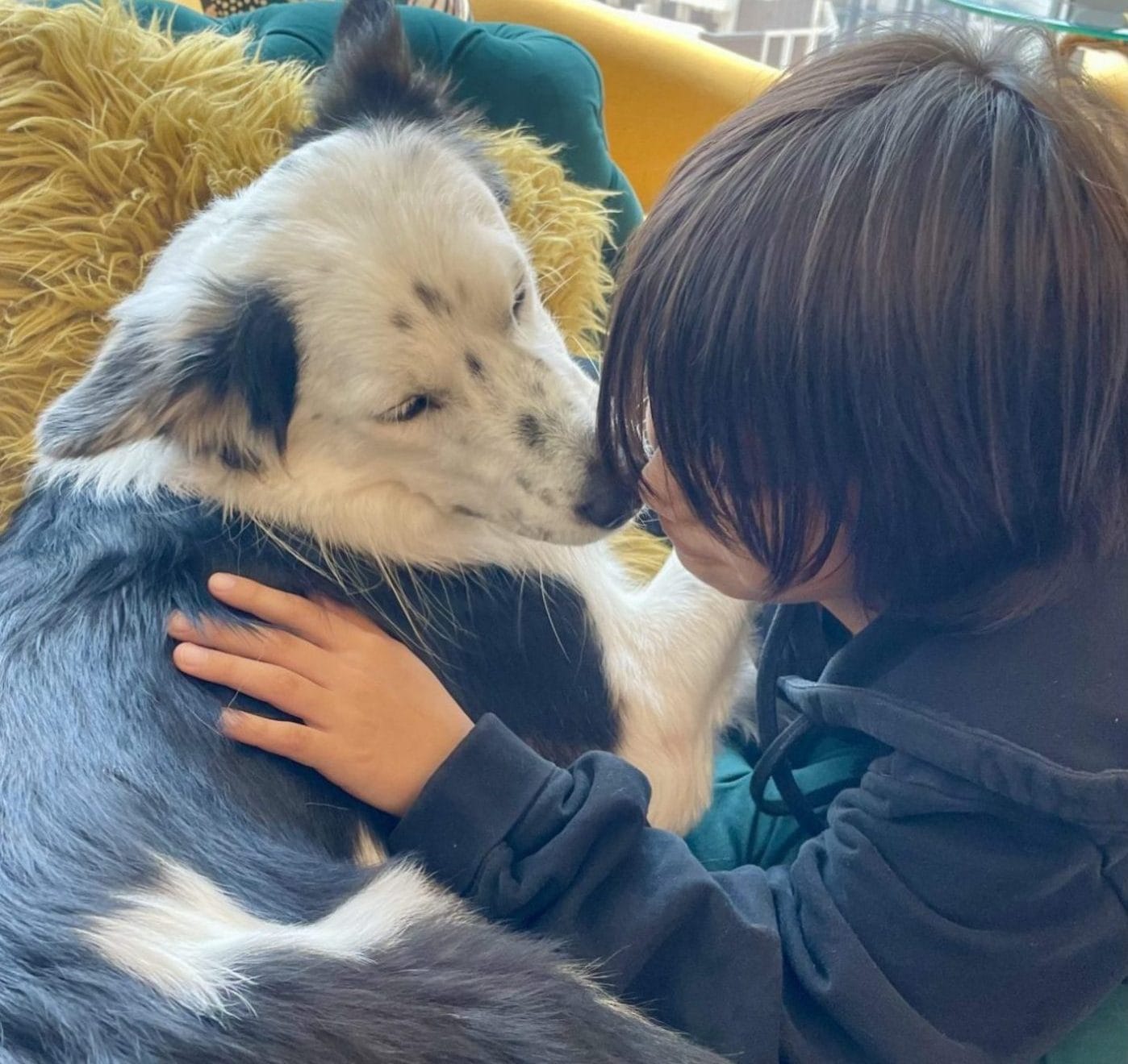 家庭とペットの素晴らしい関係｜子供と犬が育む幸せな暮らし