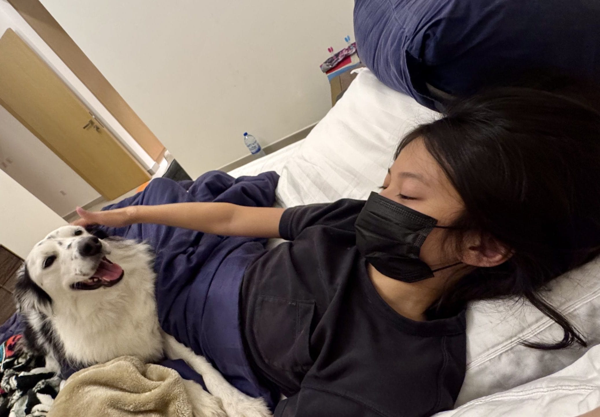 飼い主が体調不良になってしまった時の犬と飼い主