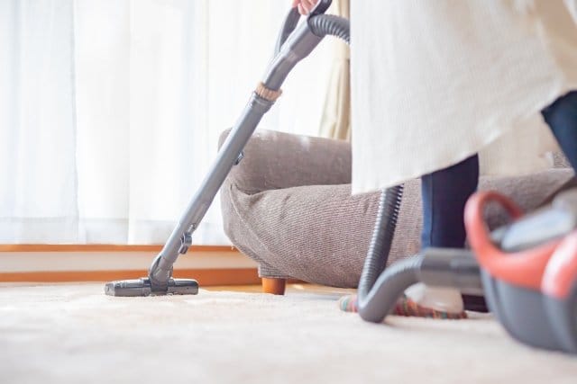 ボーダーコリーの毛を掃除してる