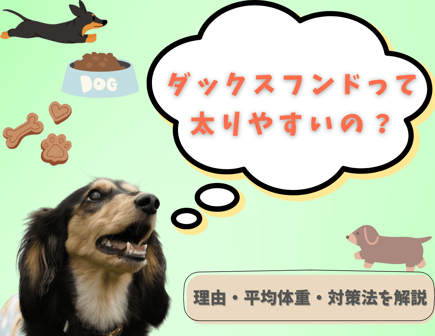 ダックスフンドって太りやすいの？