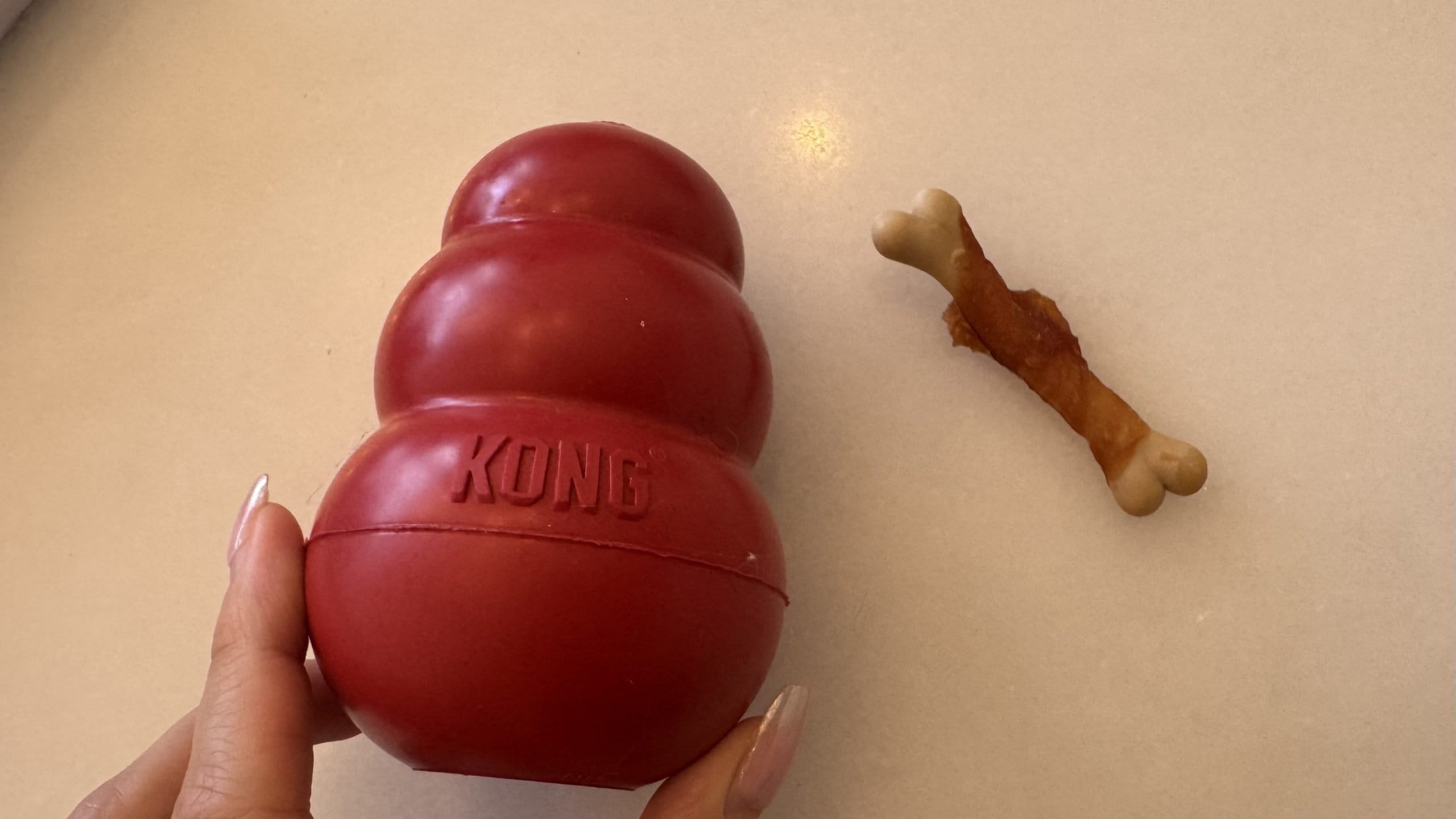 犬用早食い防止おもちゃ「コング(KONG)」