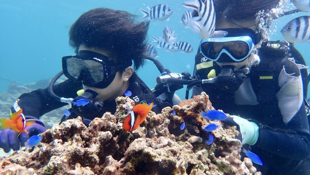 沖縄で体験ダイビング