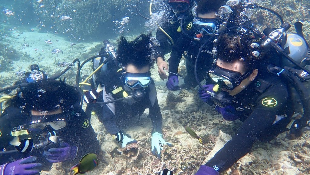 沖縄:青の洞窟ツアーダイビング雨天時の様子