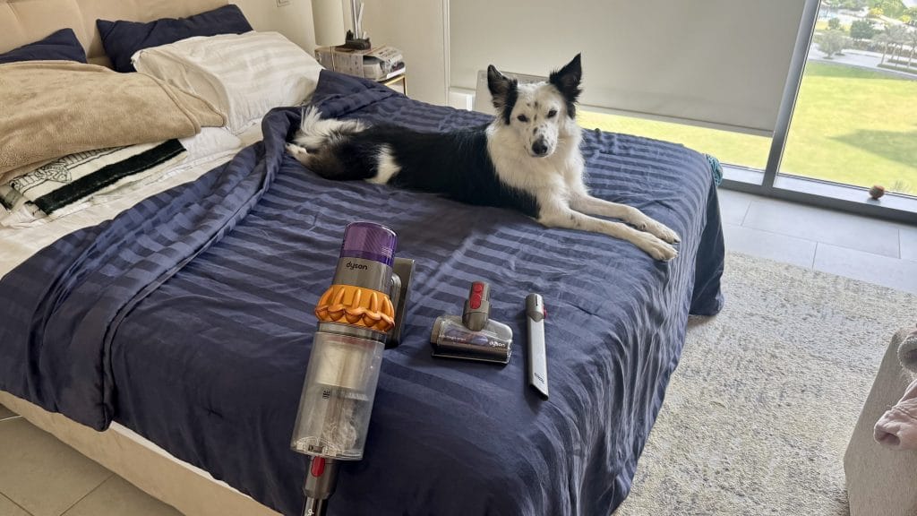 犬とダイソンのV12 Detect Slim Fluffy