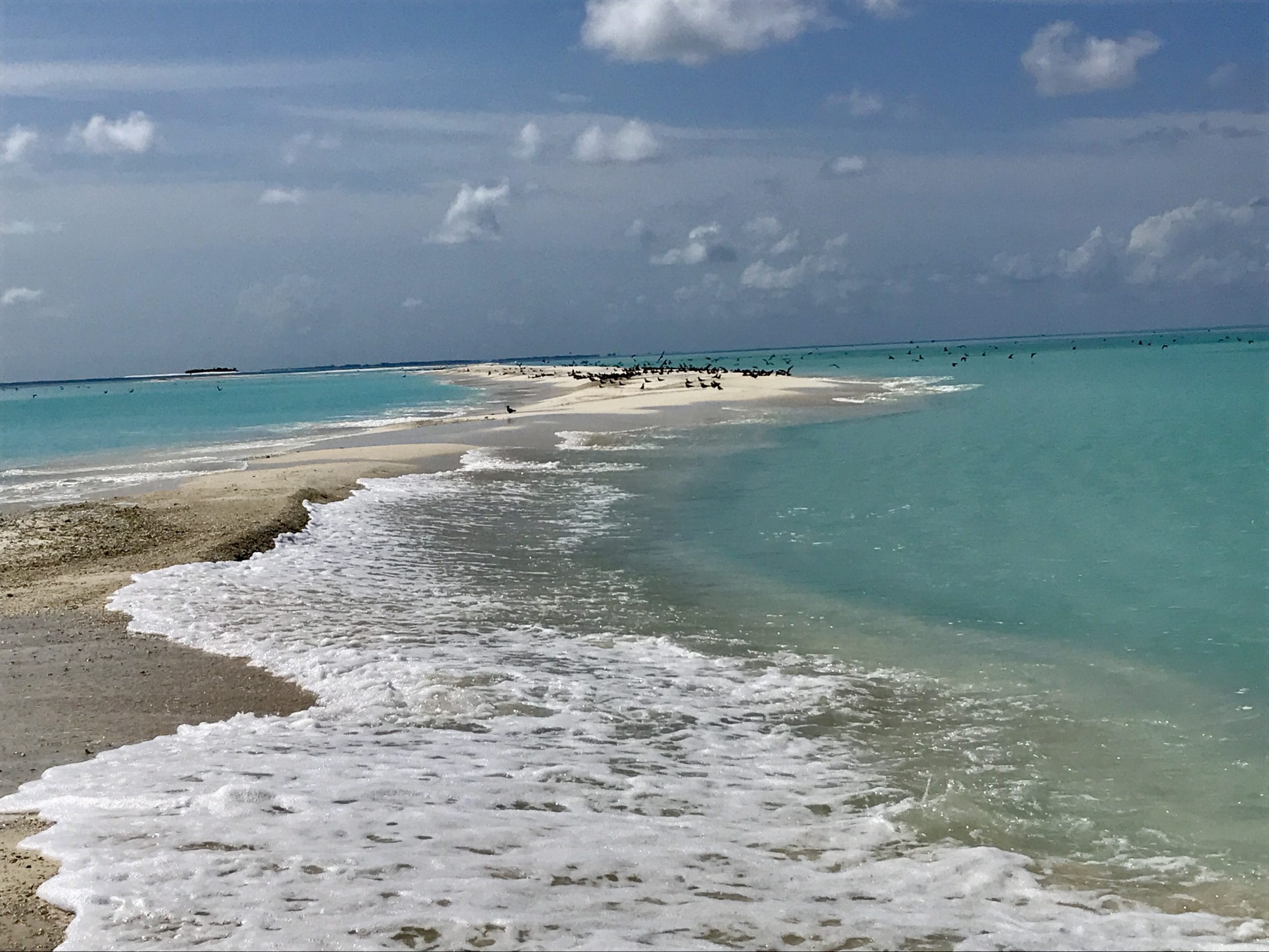 海外旅行情報まとめ | 体験談と現地レビュー - 息子とわんこと海外生活