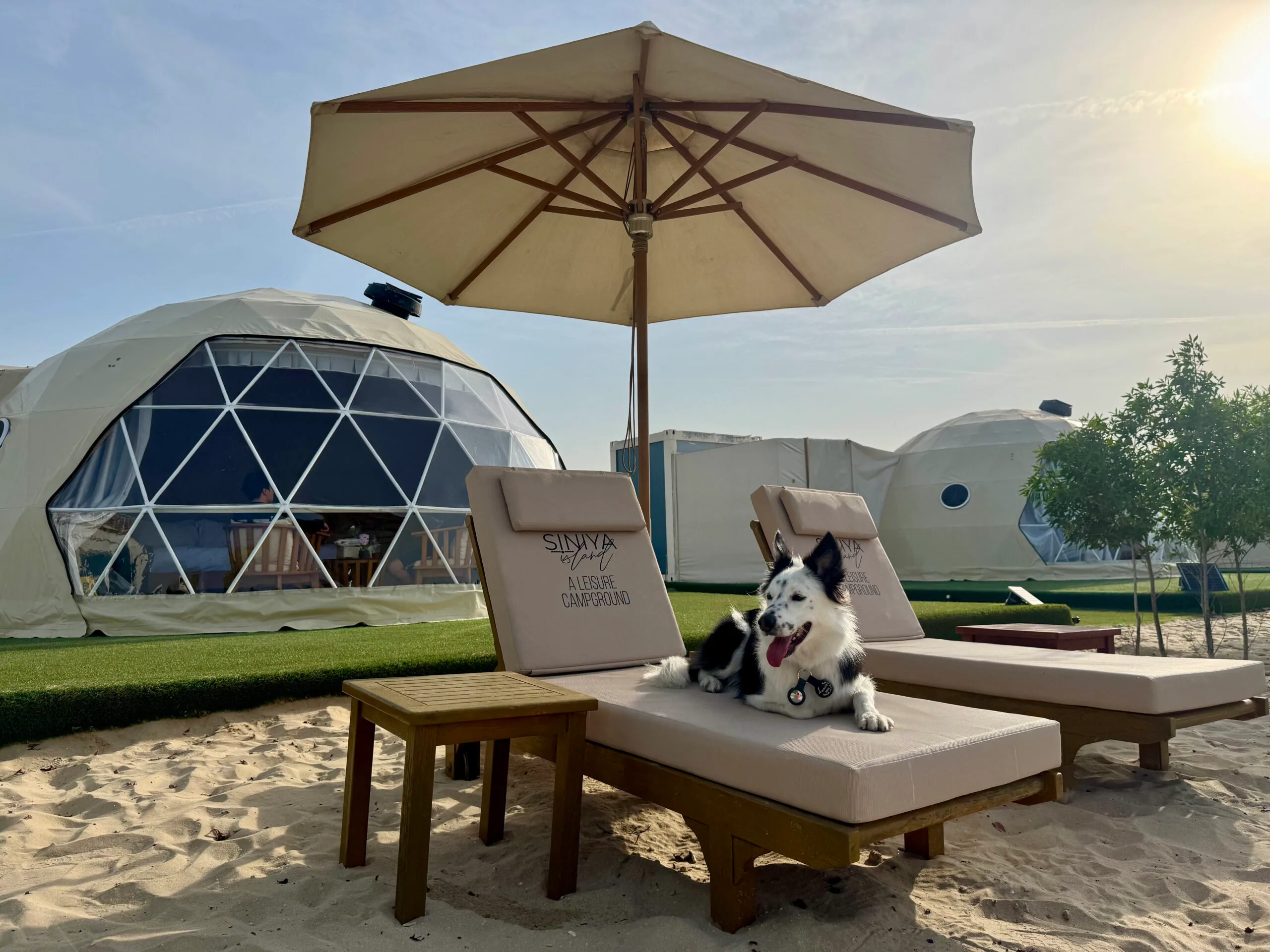 ドバイ近郊のペット可ドーム型テント