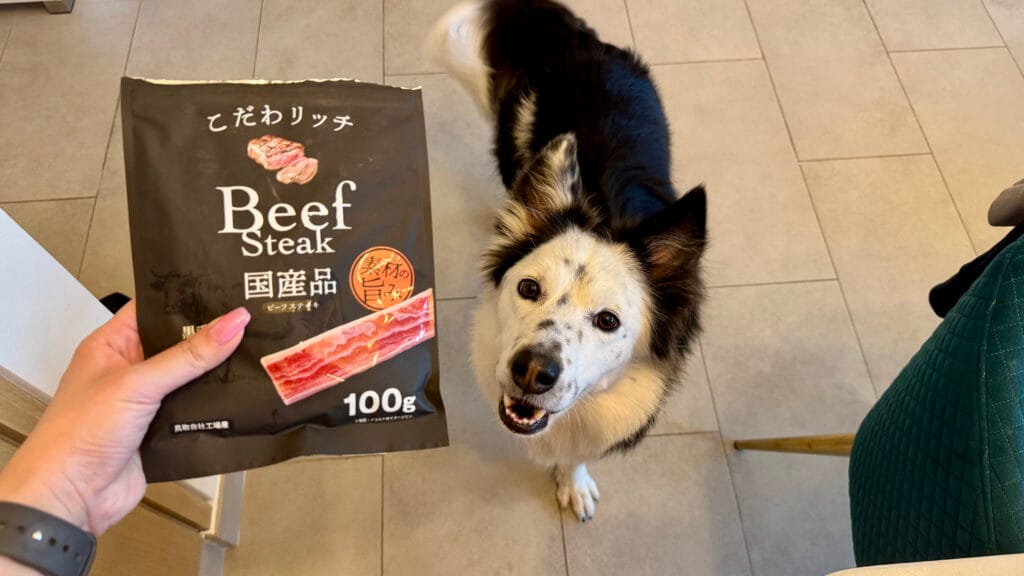 愛犬のお気に入りおやつ：ビーフステーキ