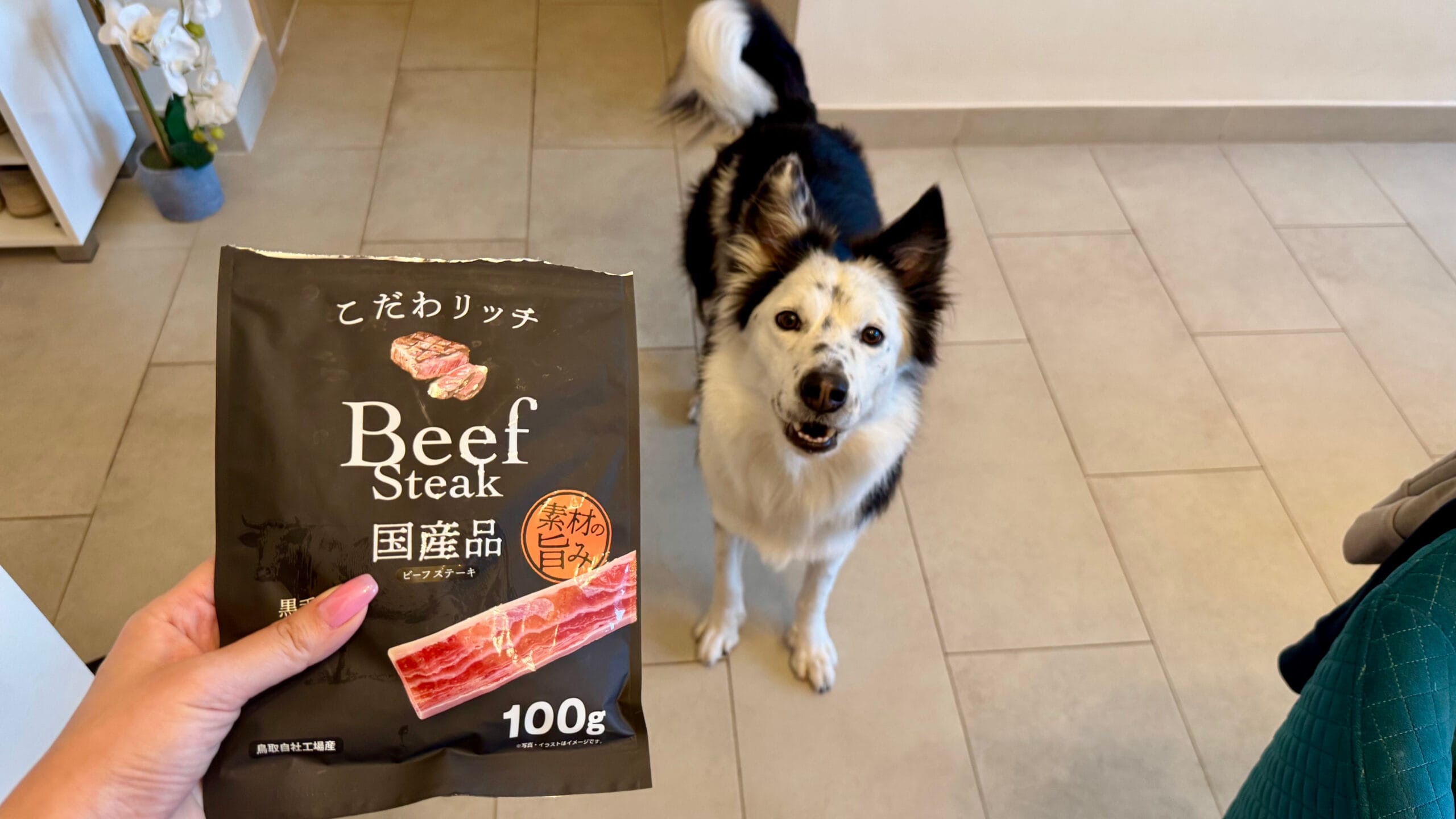 愛犬のお気に入りおやつ：ビーフステーキ