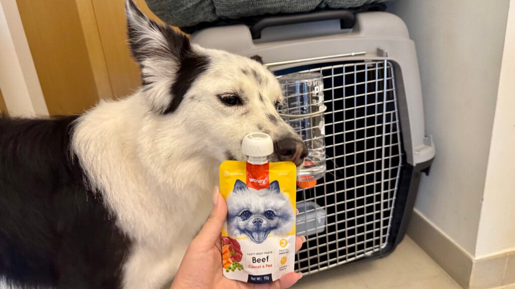 愛犬とペースト状のおやつ